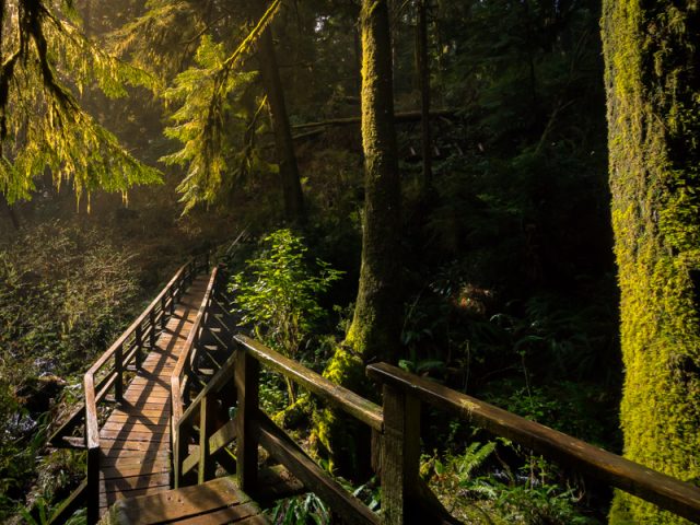 Schooner Cove, Vancouver Island, Tofino Road trip