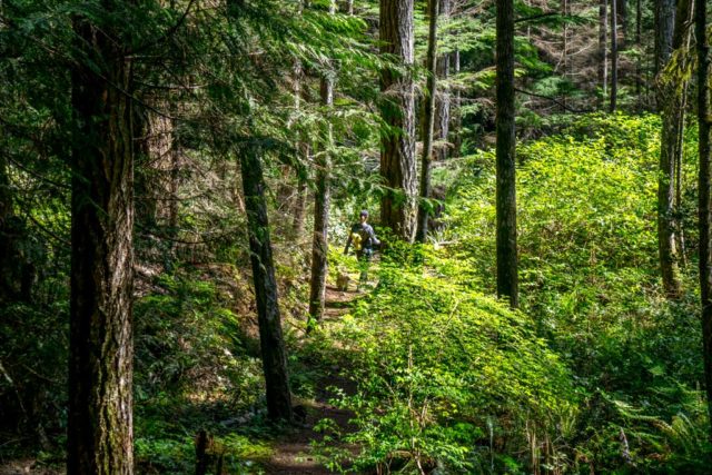 Nanaimo hiking trails vancouver island Chris Istace Ammonite Falls