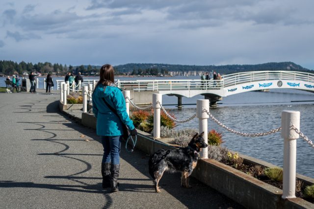 Nanaimo hiking trails vancouver island Chris Istace Harbourfront Walkway