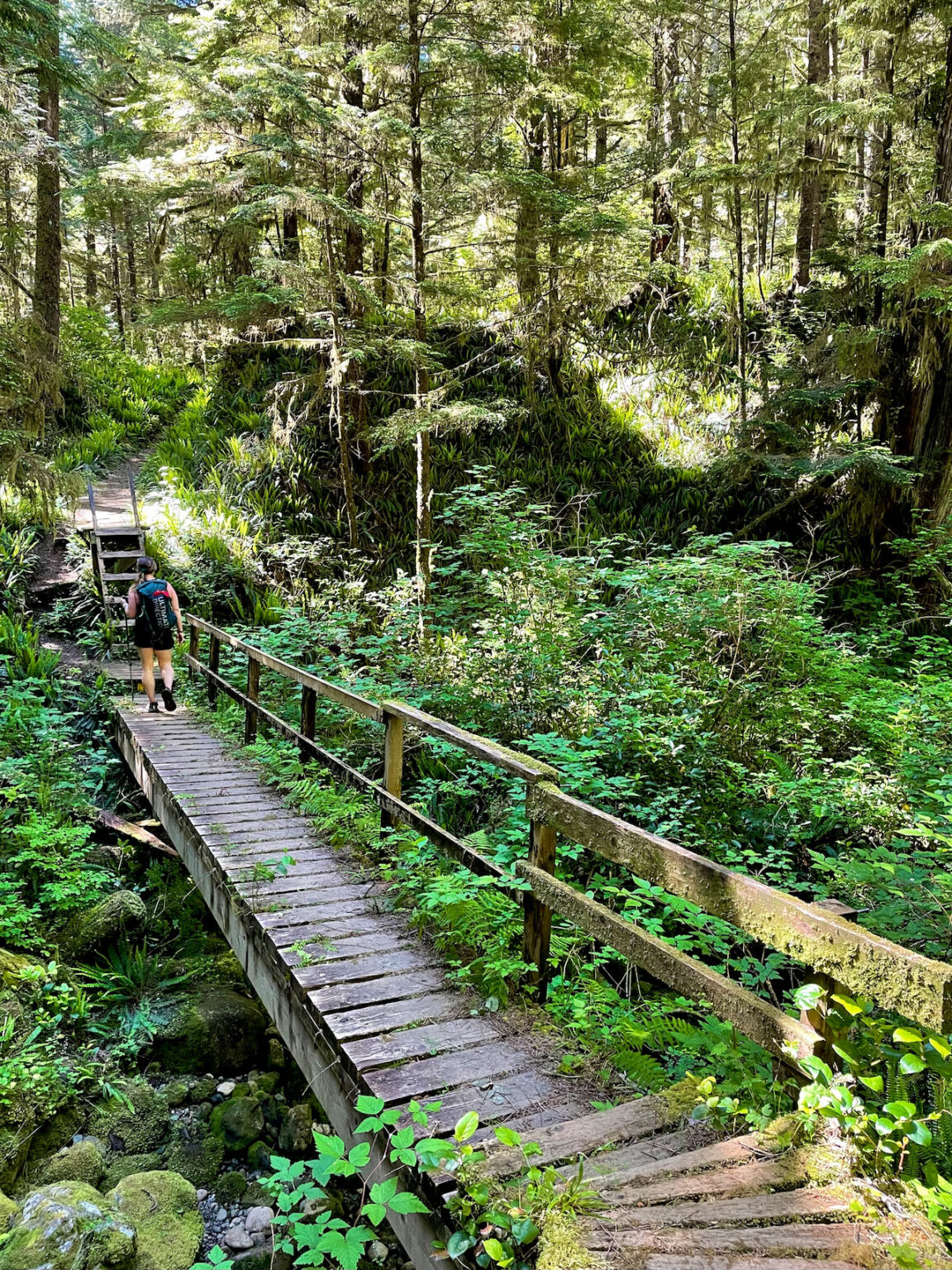 West Coast Trail Fastpack Overnight Hike - Mindful Explorer